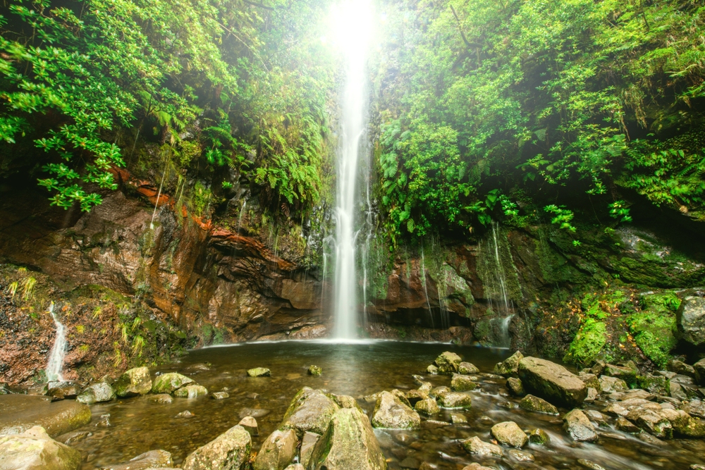 Waterfall Risco, Madeira - Living Tours